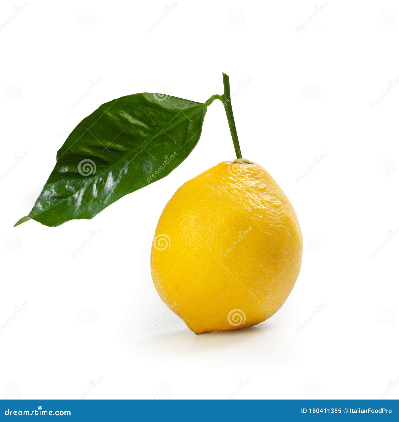 bergamot orange Ã¢â¬â `fantastico` cultivar Ã¢â¬â  on white background